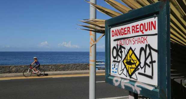 Nouvelle attaque de requins à La Réunion: un jeune de 13 ans tué