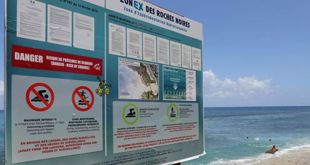 La Réunion: un homme attaqué par un requin, son pronostic vital engagé