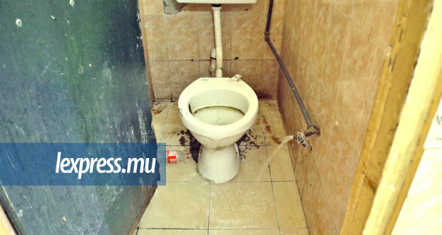Toilettes publiques: au pays des «merde-veilles»