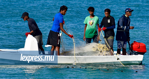 Cap-Malheureux: des pêcheurs à la senne opèrent illégalement