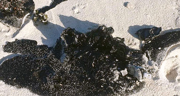 Trace d’huile sur la plage à Pointe-d’Esny: «Une suie de carbone séchée» selon Japan P&I Club