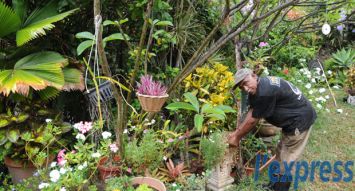 Babooram, le jardinier, aide à l’entretien des lieux depuis une dizaine d’années. (Photos : Krishna Pather )