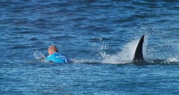 Photo fournie par la Ligue mondiale de surf montrant le surfeur australien Mick Fanning attaqué par un requin, le 19 juillet 2015 à Jeffreys Bay, en Afrique du Sud.