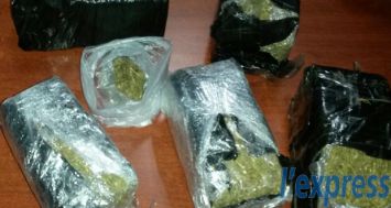 Des paquets de cannabis ont été découverts chez un employé du port.