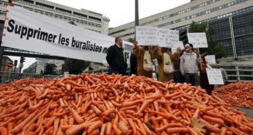 Des tonnes de carottes sont deversées devant le ministère de l'Economie à Paris pour protester contre les paquets neutres, le 8 septembre 2015. [Photo: AFP] 