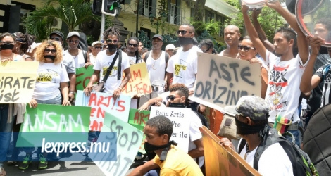 Plusieurs artistes et personnages politique ont participé à une marche pacifique dans la capitale pour dire non au piratage, vendredi 29 janvier.