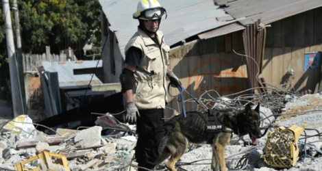 Un sauveteur mexicain et son chien au milieu des décombres le 20 avril 2016 à Pedernales.