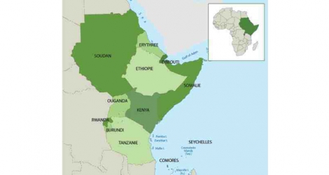 Maurice peut se positionner dans des pays de l’Afrique de l’Est, notamment le Kenya.