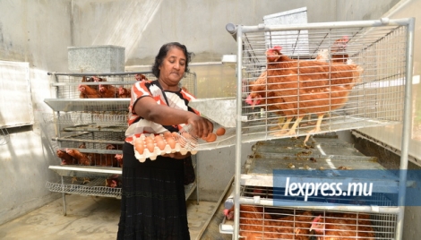 La culture de légumes et l’élevage de poulet sur le site est un exemple que les familles sont appelées à reproduire.