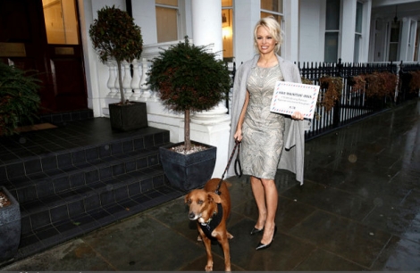 ©Getty Images / John Philips Pamela Anderson remettant sa pétition au haut-commissariat mauricien à Londres, lundi 12 décembre. 