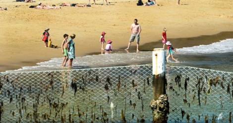 Des enfants jouent dans l'eau protégés par un filet anti-requin sur une plage de Sydney, le 29 septembre 2017 en Autralie