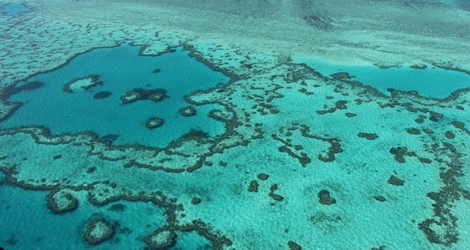 (Photo d'illustration) La grande barrière de corail en Australie.