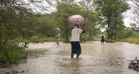 Ces fortes précipitations ont fait au moins 246 morts et 2.000 sinistrés au Zimbabwe, selon le dernier bilan des autorités.
