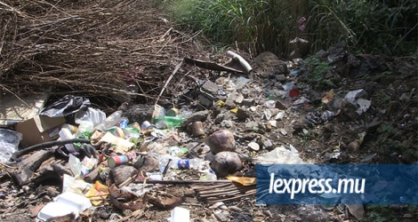 Des déchets ont envahi le terrain abandonné à Calodyne.