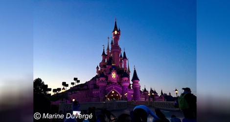 Le château de Disneyland Paris.