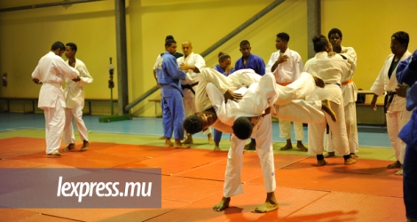 Les judokas se préparent intensément pour remonter la pente au niveau africain.