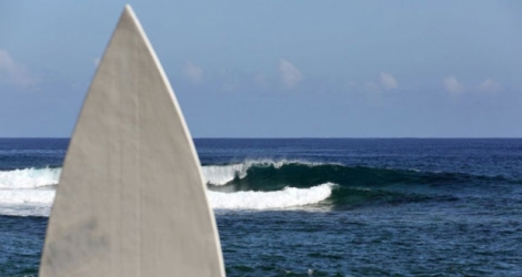 Une surfeuse de 17 ans a péri dans le sud-ouest de l'Australie après avoir été attaquée par un requin sous les yeux de ses parents impuissants.