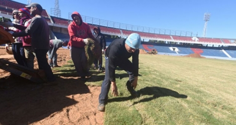 Des ultras du club paraguayen de Cerro Porteno posent la pelouse de leur nouveau stade, le 20 juin 2017 à Asuncion