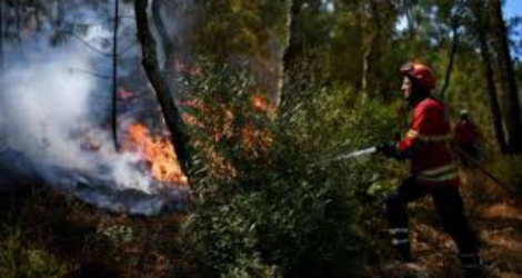 Un pompier combat un feu dans une forêt près du village de Bracal le 11 août 2017.