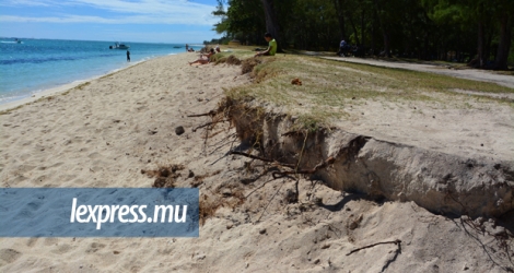 Les touristes et les Mauriciens aiment se reposer à l’ombre des arbres dont les racines sont mises à nu. La Preneuse est une des plages les plus connues pour ses marques d’érosion.