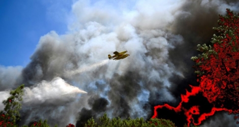 Un avion anti-incendie dans le ciel de Sardoal, au Portugal, le 17 août 2017 .