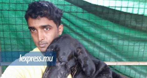 Sameer Golam, le fondateur de l’ONG SCAR, en compagnie d’un chien de race qu’il vient de secourir.