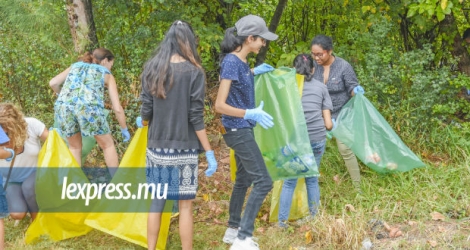 Les bénévoles et les personnes présentes ont pu mettre la main à la pâte en participant au nettoyage de la mangrove de Roches-Noires.