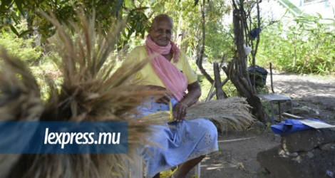 Jaywantee Ragoonath tisse les balais à l’ombre d’un manguier. Ainsi, la poussière l’importune moins