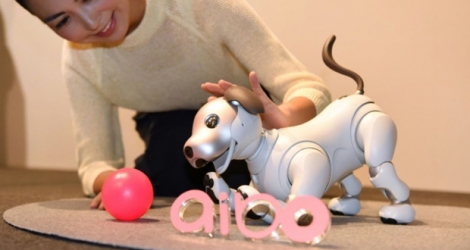 Présentation du nouveau chien robot Aibo par Sony à Tokyo, le 1er novembre 2017.