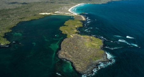 Vue aérienne de Tortuga Bay, dans l'île de Santa Cruz, le 21 janvier 2018 aux Galapagos.