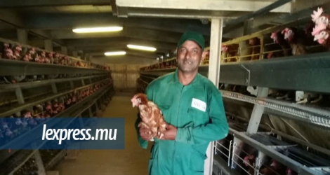 Daniel Prague Souroup, 48 ans, éleveur de poulets depuis plus de 20 ans, s’occupe de plus de 50 000 poulets par jour.