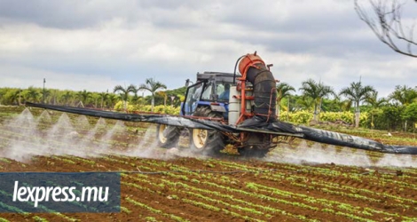 L’utilisation de pesticides se pratique dans l’ensemble du secteur agricole à Maurice.