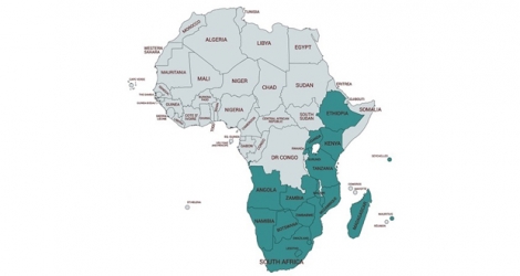 L’Eastern and Southern African Anti-Money Laundering Group regroupe 18 pays d’Afrique. (source : http://www.esaamlg.org/)