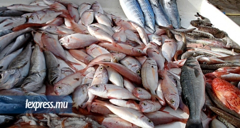 Trois personnes sont accusés d’avoir volé du poisson pour une valeur marchande de Rs 242 000.