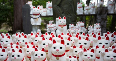 Des milliers de figurines de chats porte-bonheur, le 6 août 2018 au temple de Gotokuji, à Tokyo.