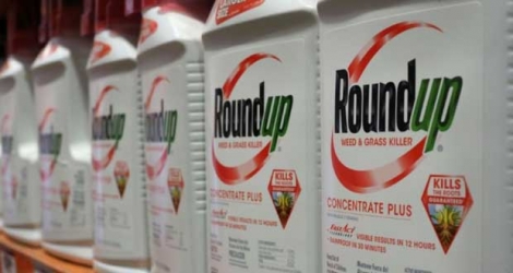 Bouteilles de Round'up, pesticide de Monsanto.