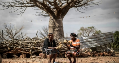 Les Sud-Africaines Annah Muvhali (g) et Cristina Ndou tiennent des fruits de baobab récoltés dans leur village de Muswodi Dipeni, près de Mutale dans la province du Limpopo, le 28 août 2018.