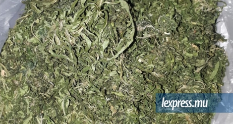 Ram Khelawon a vendu 130,09 grammes de cannabis à des limiers de l’ADSU.