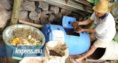 (Photo d’illustration) Certains planteurs sont réticents à utiliser le compost organique, par peur d’une mauvaise récolte.