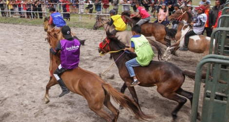 Plus de 300 jockeys s'affrontent pendant ce festival annuel qui dure une semaine au mois de janvier dans la province d'Aceh.