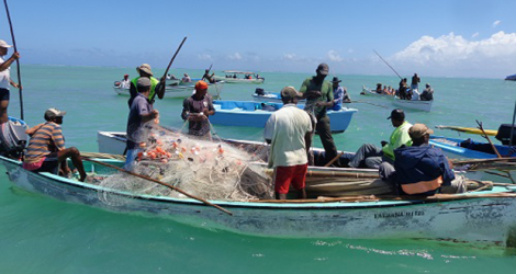 Environ 1,7 tonnes de poissons ont été pêchés dans les quelques sept pêcheries de l’île. 