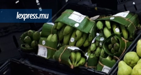 Plus besoin de sacs en plastique pour ces fruits pesant 500 grammes ou un kilo, qui sont enveloppés dans une feuille de bananier.