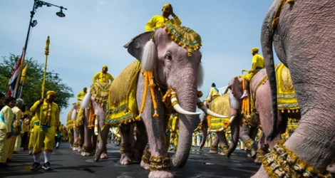 Des éléphants participent aux célébrations de couronnement du roi de Thaïlande, à Bangkok le 7 mai 2019.