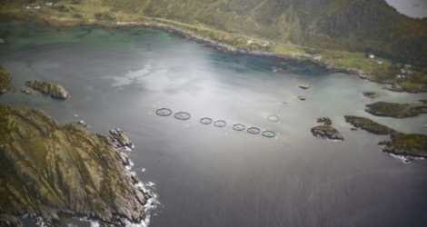 Des élevages de saumons dans les eaux des îles Lofoten, en Norvège, le 1er octobre 2018.