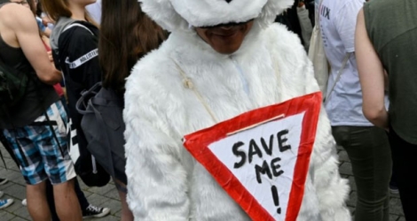 Jeune manifestant déguisé en ours polaire avec l'inscription «Sauvez moi!», à Berlin le 24 mai 2019.