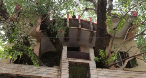La maison de la famille Kesharwani bâtie autour d'un figuier, le 4 juin 2019 à Jabalpur, en Inde.