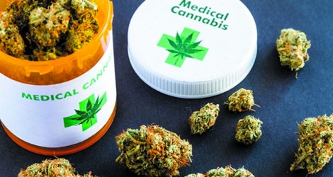 Le cannabis médical a fait l’objet d’une Private Notice Question au Parlement, mardi 9 juillet.