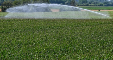 Un champ de maïs est arrosé en période de sécheresse, à Balan, près de Lyon, le 22 juillet 2019.