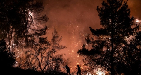 Des pompiers grecs tentent de venir à bout d'un important incendie près du village de Macrymalli, sur l'île d'Eubée.