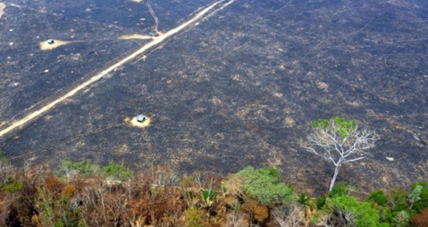 Vue aérienne de secteurs brûlés de la forêt amazonienne, près de Porto Velho, le 24 août 2019 dans le nord-ouest du Brésil.